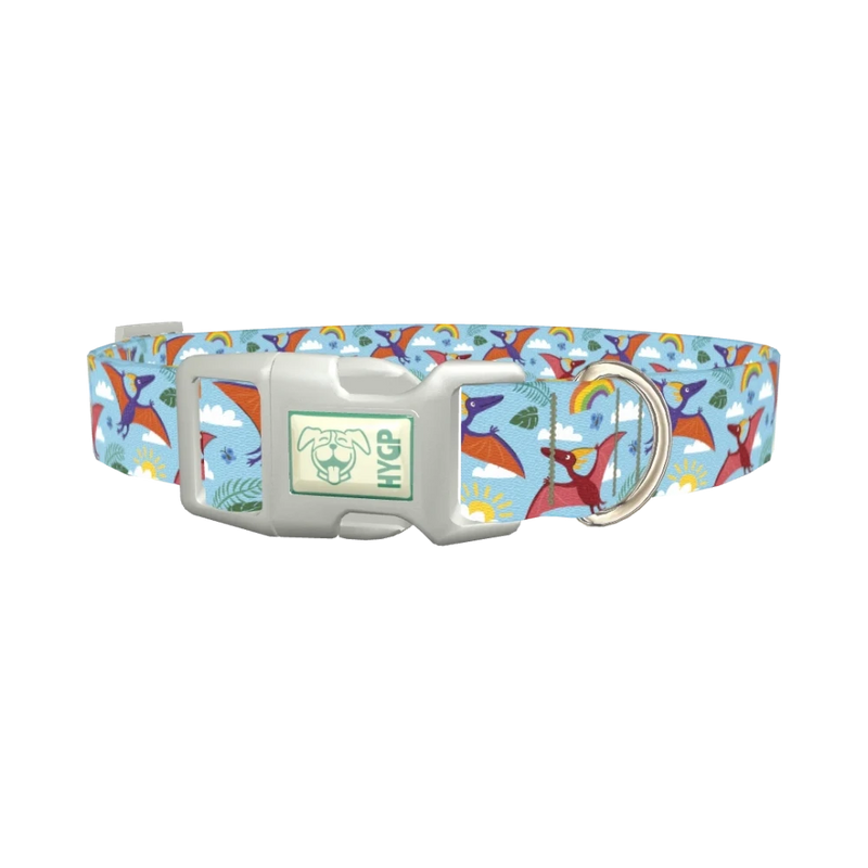 Dinosaur Adventure Dog Collar - plastic silver