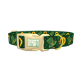 Lucky Rainbow Dog Collar - plastic gold