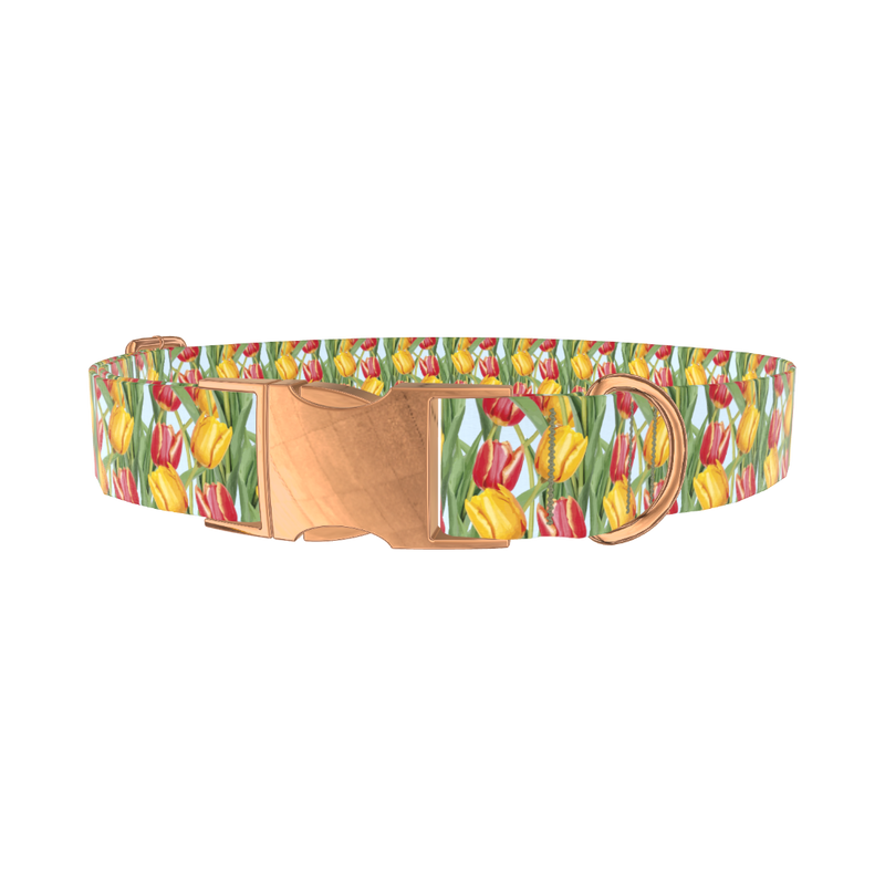 Red Yellow Tulip Dog Collar - metal rose gold