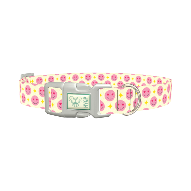 Valentine Smiley Dog Collar - plastic silver