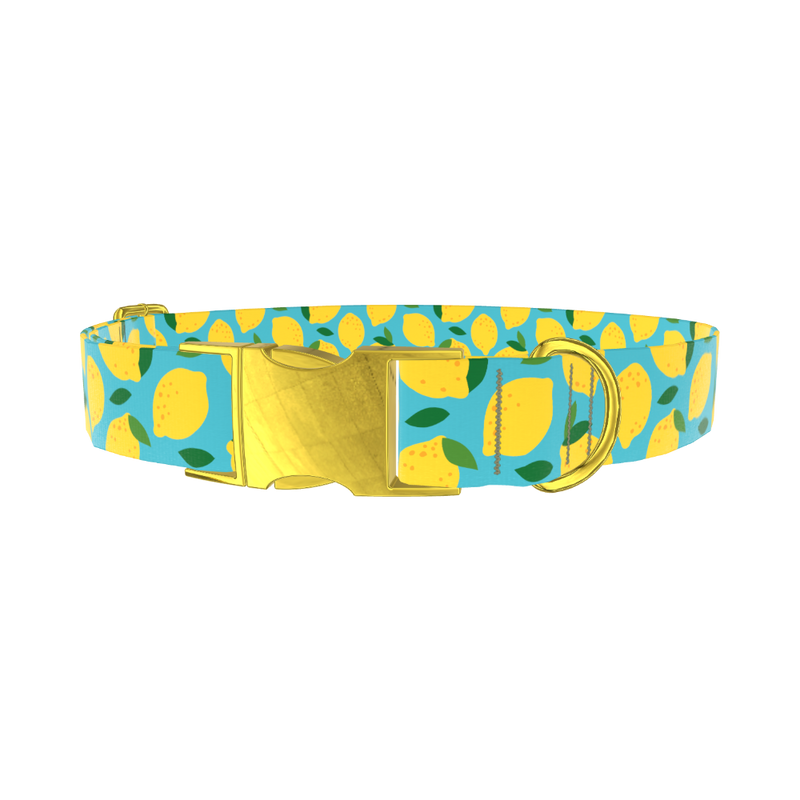 Blue Lemon Pattern Dog Collar - metal gold