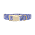 Spider Web Halloween Dog Collar - plastic rose gold