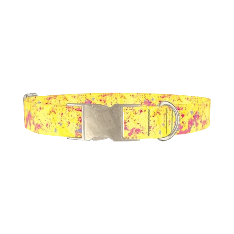 Yellow Abstract Splatter Dog Collar - metal silver