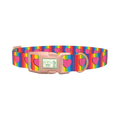 Rainbow Heart Dog Collar - plastic rose gold