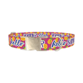 Tropical Summer Dog Collar - metal silver