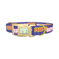 Birthday Text Dog Collar - plastic gold