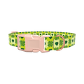Clover Heart Dog Collar - plastic gold