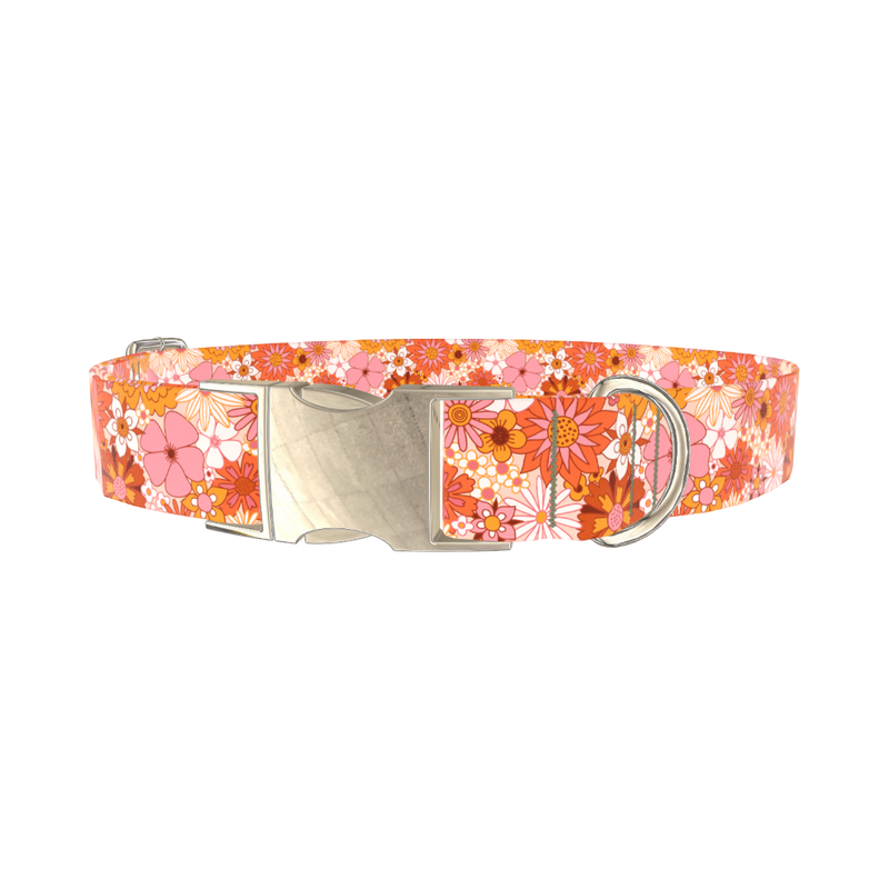 Retro Floral Burst Dog Collar - metal silver