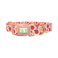Apple Fruit Dog Collar - plastic rose gold