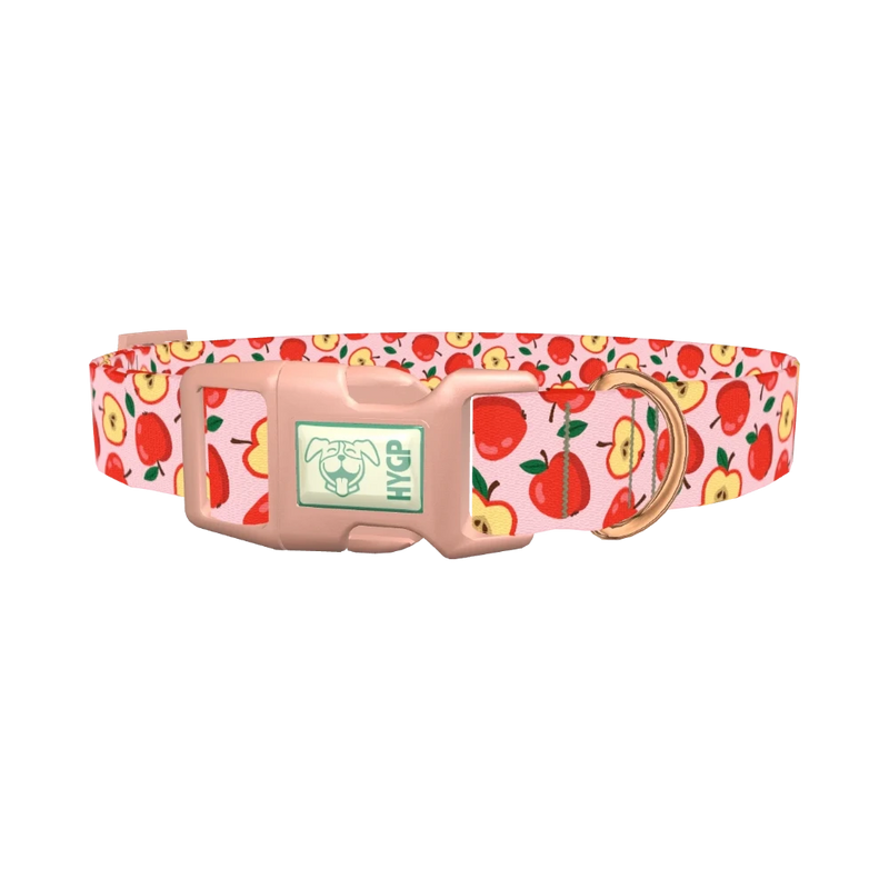 Apple Fruit Dog Collar - plastic rose gold