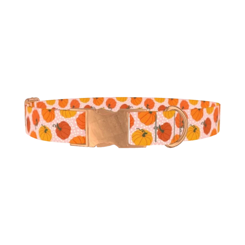 Halloween Pumpkin Dot Dog Collar - metal rose gold