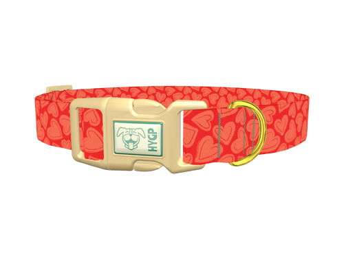 Red Sketch Heart Dog Collar