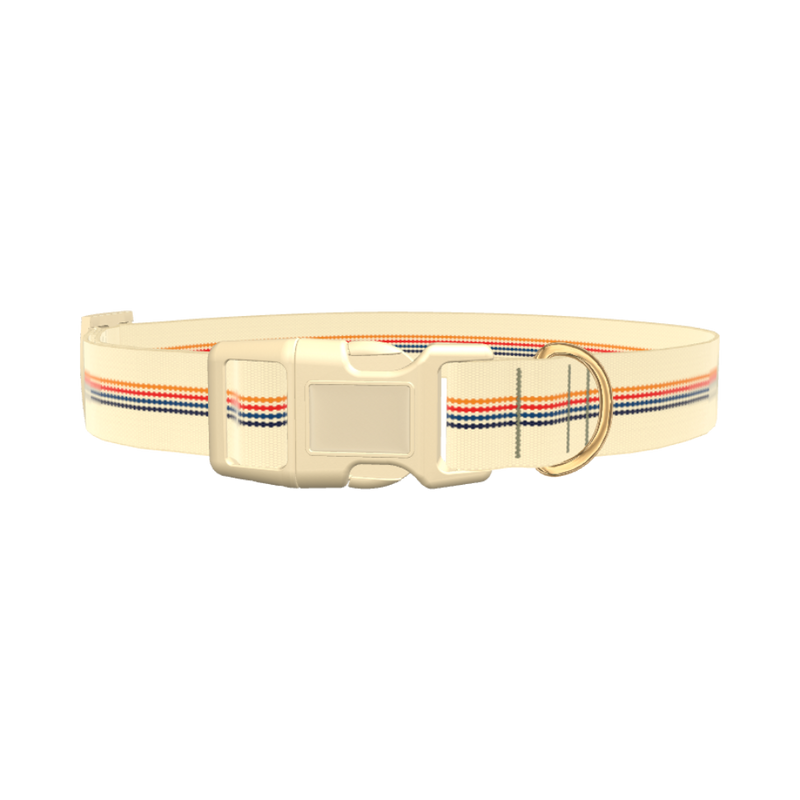 Colorful Hexagon Dog Collar - plastic silver