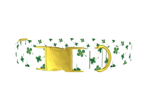 StPatricks6_WatercolorRai