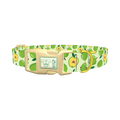 Green Apple Dog Collar - plastic gold