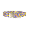 Banana Stripe Dog Collar - metal silver