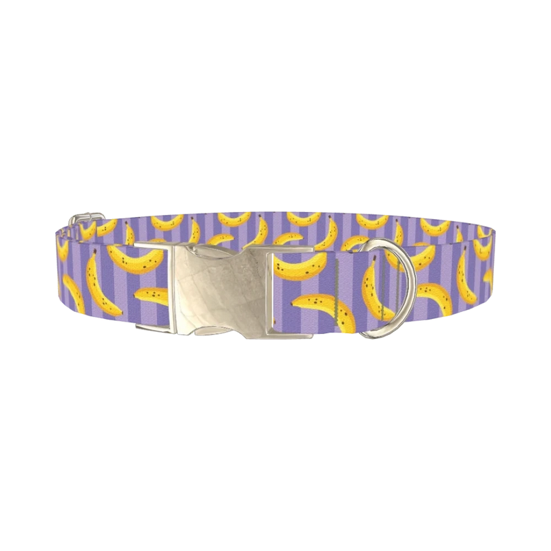 Banana Stripe Dog Collar - metal silver