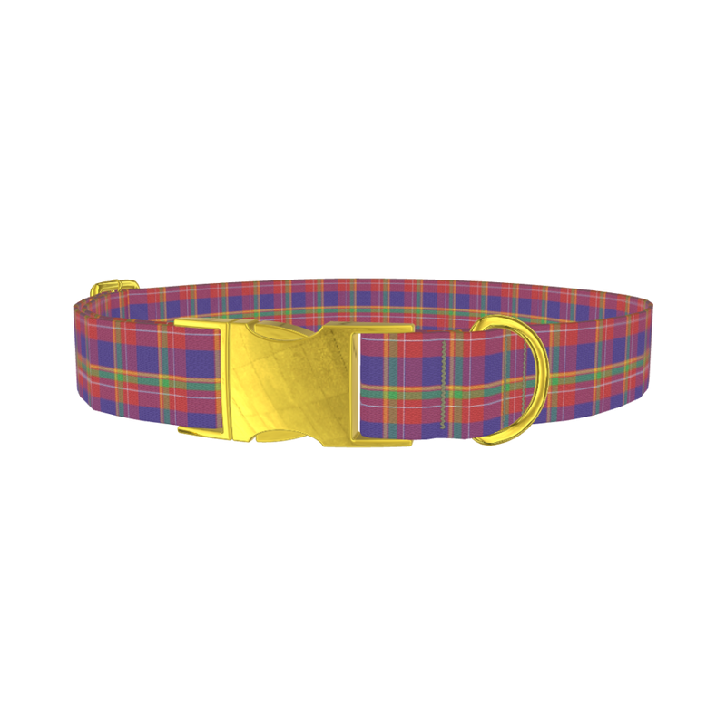 Multicolor Plaid Dog Collar - metal gold