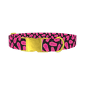 Halloween Coffin Dog Collar - metal gold