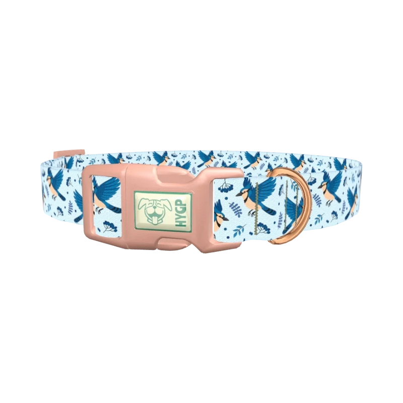Bluejay Bird Dog Collar - plastic rose gold