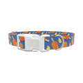 Citrus Popsicle Dog Collar - plastic rose gold