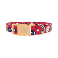 Red Football Trophy Dog Collar - plastic gold