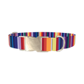 Colorful Mexican Stripe Dog Collar - metal silver