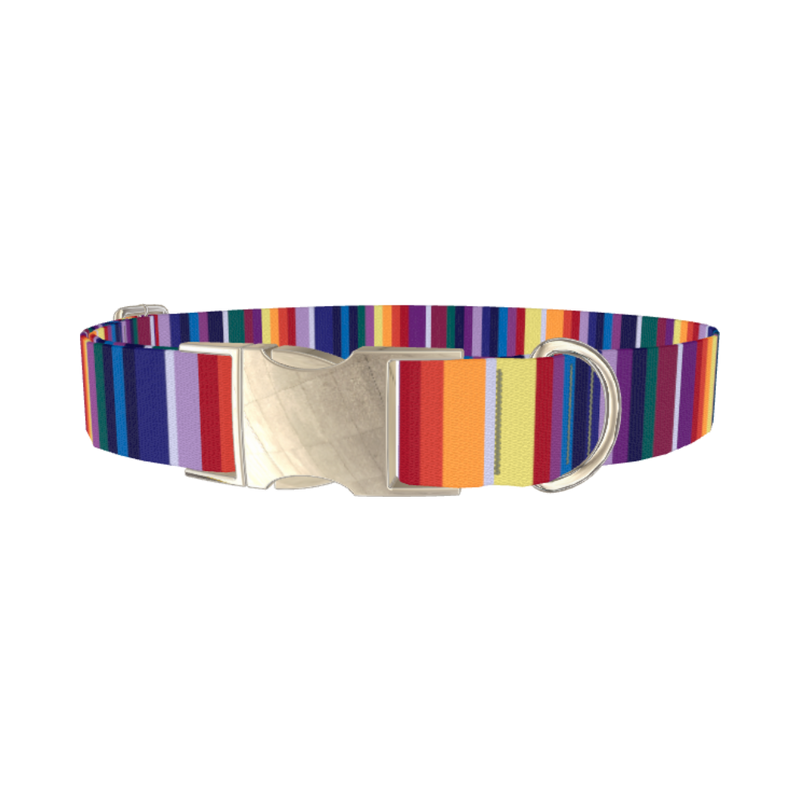 Colorful Mexican Stripe Dog Collar - metal silver