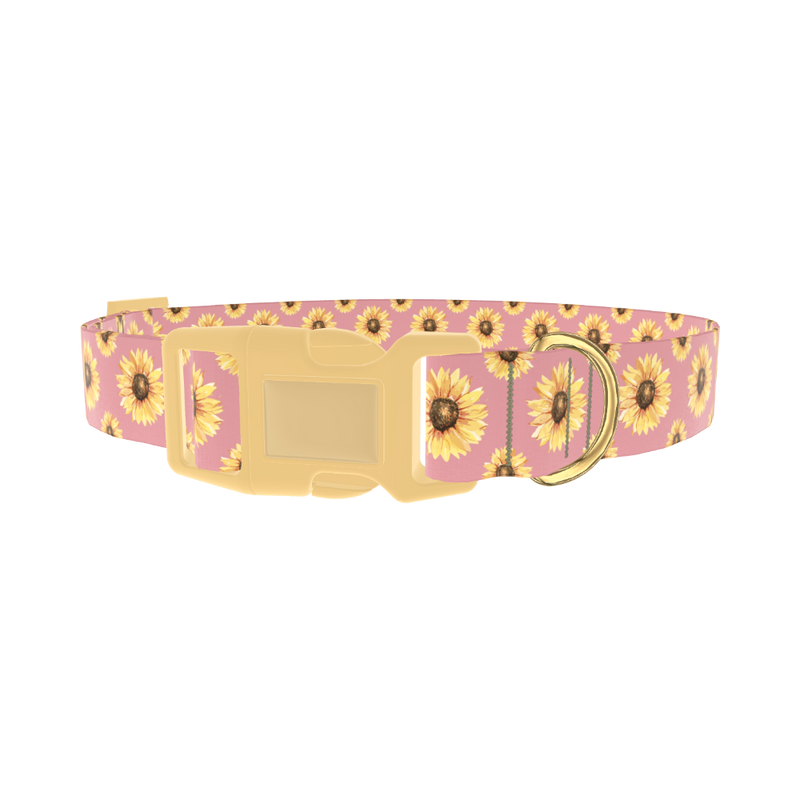 Pink Sunflower Dog Collar - plastic gold