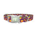 Mardi Gras Celebration Dog Collar - plastic silver