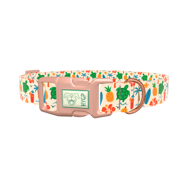 Beach Turtle Dog Collar - plastic gold