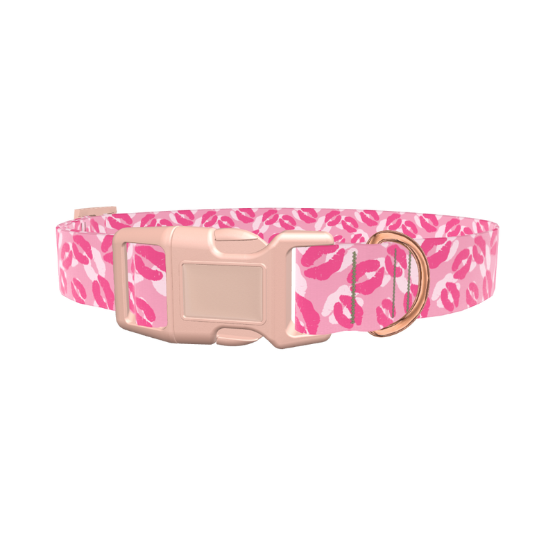 Valentine Lips Dog Collar - plastic silver