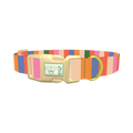 Colorful Stripe Pattern Dog Collar - plastic gold
