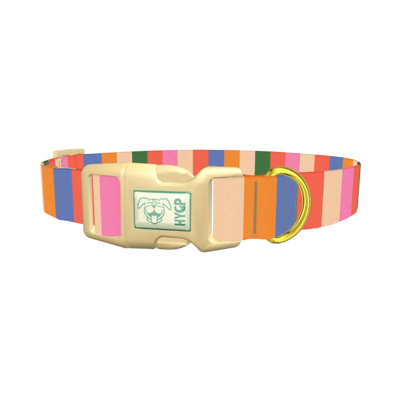 Colorful Stripe Pattern Dog Collar - plastic gold