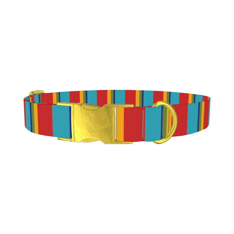 Red Turquoise Stripe Dog Collar - metal gold