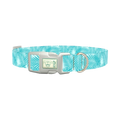 Tropical Palm Dog Collar - plastic silver