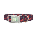 Western Desert Dog Collar - plastic silver