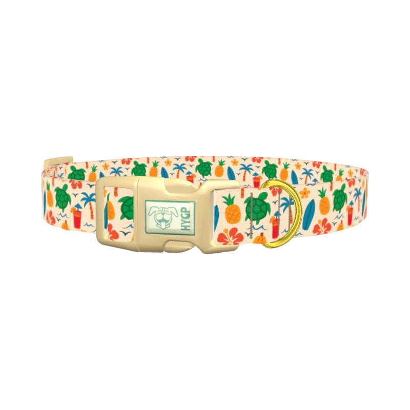 Beach Turtle Dog Collar - plastic gold