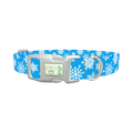 Blue Festive Snowflake Dog Collar - plastic silver