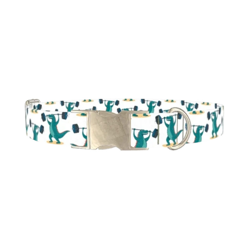 Dinosaur Powerlifting Dog Collar - metal silver