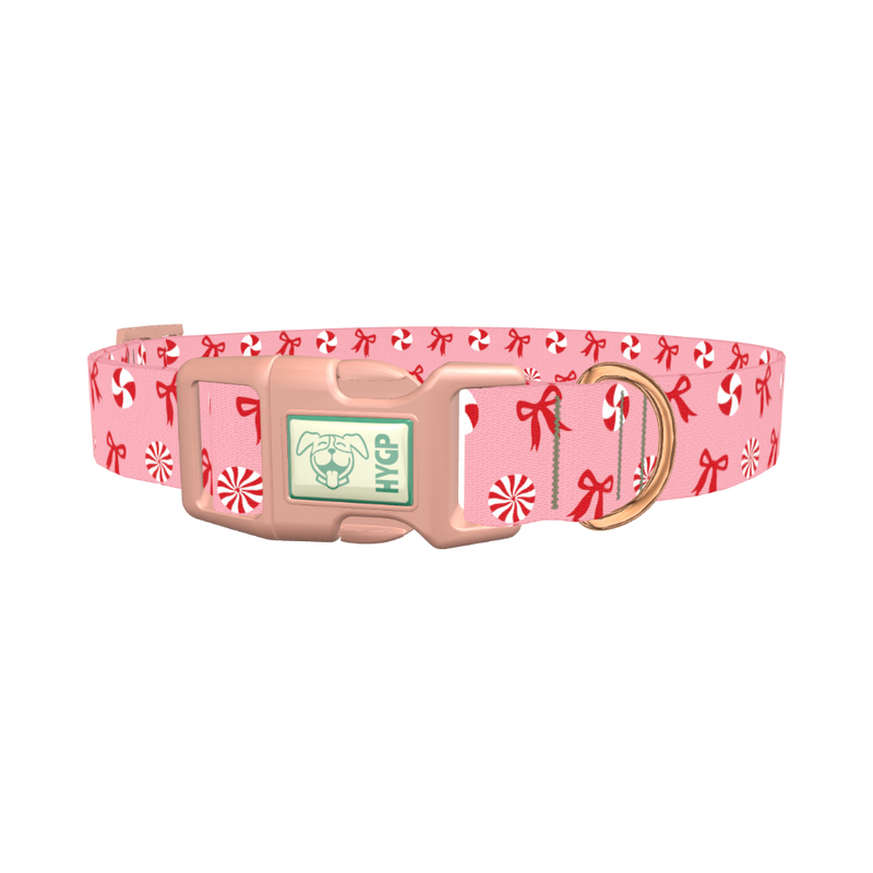 Candy Bow Dog Collar