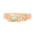 Holiday Western Cactus Dog Collar - plastic gold