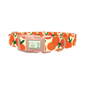 Fruit Orange Dog Collar - plastic rose gold