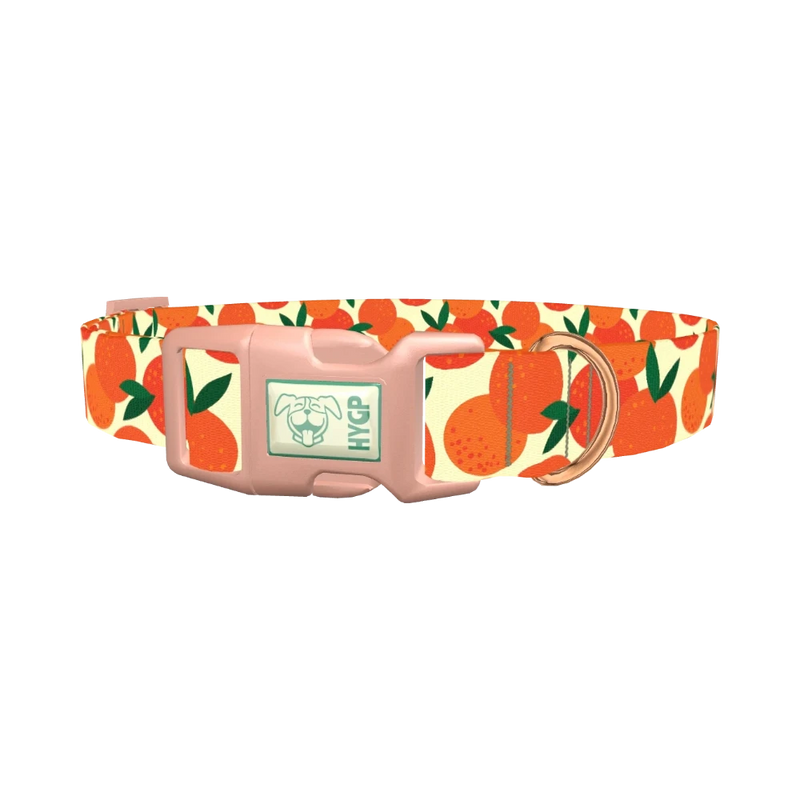 Fruit Orange Dog Collar - plastic rose gold