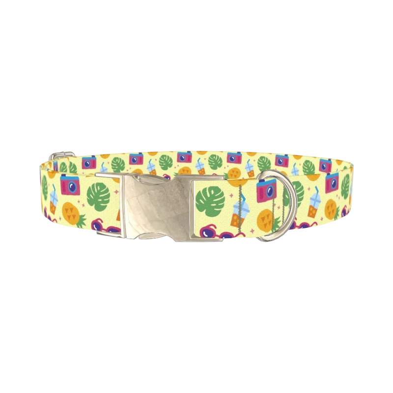 Pineapple Beach Dog Collar - metal silver