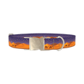 Desert Night Dog Collar - metal silver