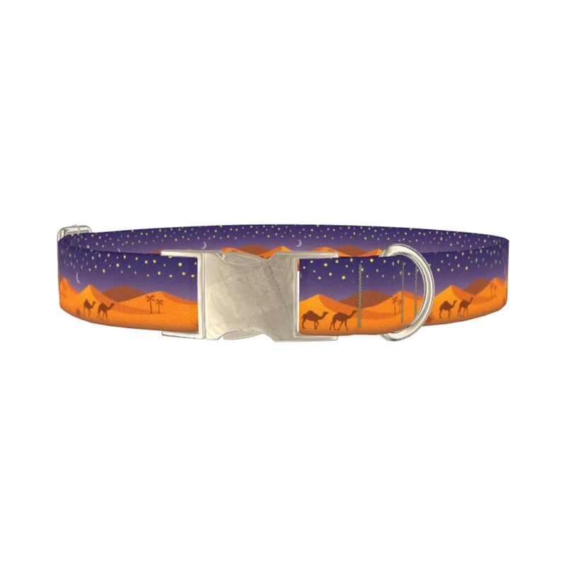 Desert Night Dog Collar - metal silver