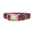 Western Desert Dog Collar - plastic rose gold
