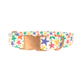 Starfish Mix Dog Collar - metal gold