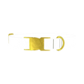 Camo Pattern Dog Collar - metal gold